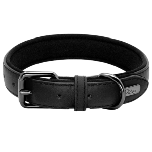 Collar de cuero acolchado